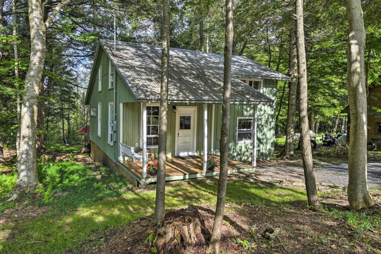 Adirondacks Cabin With Fire Pit On Otter Lake! Forestport Ngoại thất bức ảnh